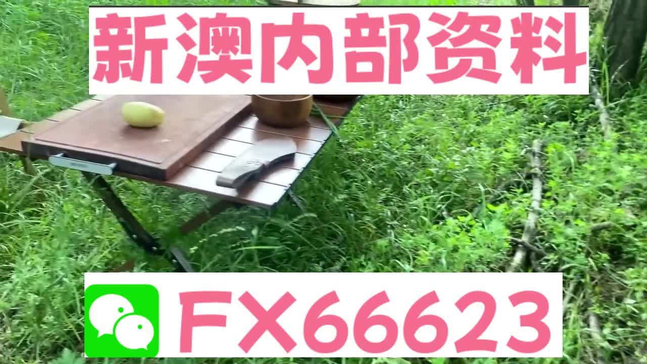 新澳天天開獎(jiǎng)資料大全與旅游攻略詳解，新澳天天開獎(jiǎng)資料及旅游攻略詳解大全