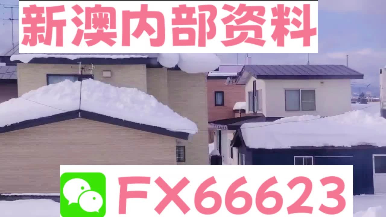 新奧天天精準(zhǔn)資料大全，深度解析與實(shí)際應(yīng)用，新奧天天精準(zhǔn)資料大全，深度解析及實(shí)際應(yīng)用指南