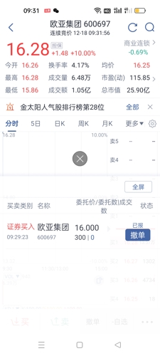 歐亞股票600697，投資潛力與市場前景分析，歐亞股票600697投資潛力與市場前景深度解析