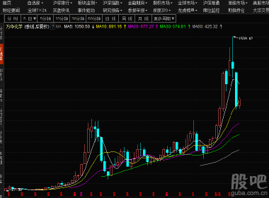 股吧600309，深度解析與前景展望，股吧600309深度解析與未來前景展望