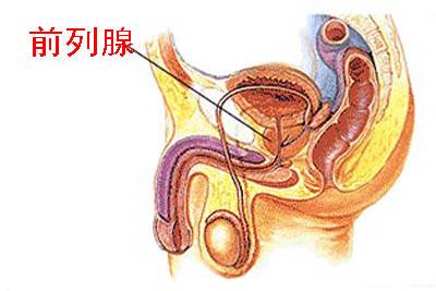 前列腺自我按摩手法圖解，一種有效的自我保健方法，前列腺自我按摩手法圖解，有效保健新方法！