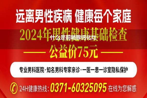 男性健康網(wǎng)上咨詢，探索新時代健康之路，男性健康網(wǎng)上咨詢，探索新時代的健康之路