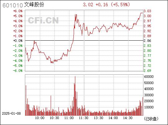 探索文峰股份，601010的獨特魅力與未來展望，文峰股份（601010）的獨特魅力及未來展望探索