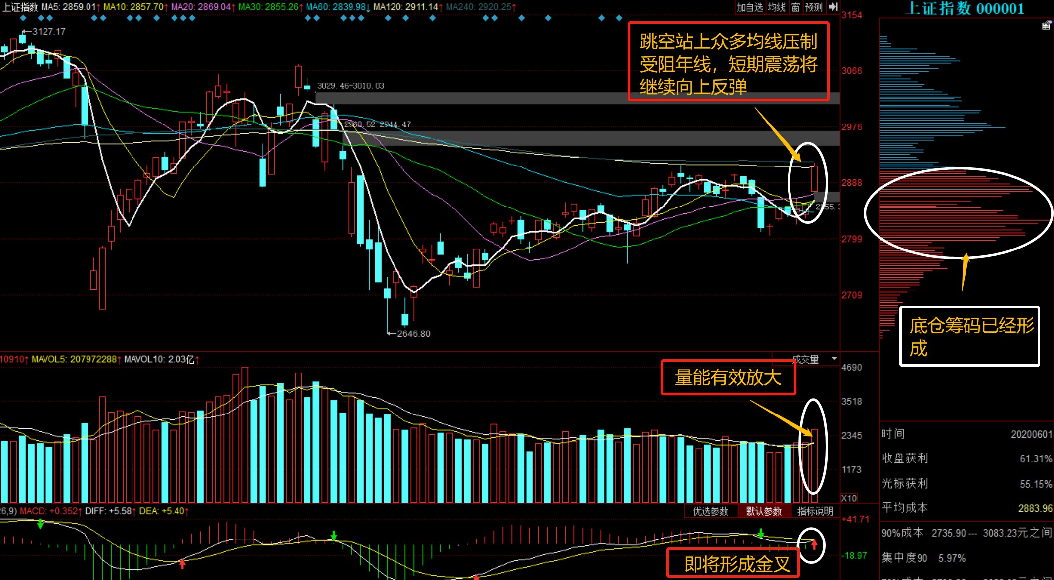 股票行情深度解析，聚焦600736，股票深度解析，聚焦代碼600736的行情動(dòng)態(tài)