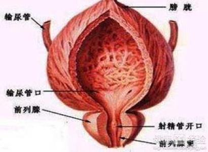 如何按摩男性前列腺，一種健康護(hù)理的指南，男性前列腺按摩指南，健康護(hù)理的秘訣